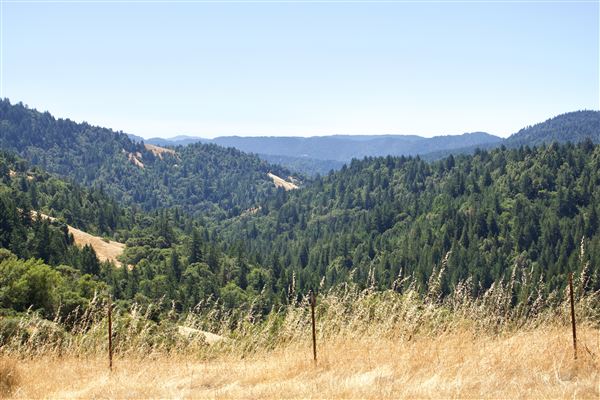 Mountain View Road - Mountain View Road - near abandoned Mt. View Ranch (8/1/2018 - Credits: Kellen Lim)