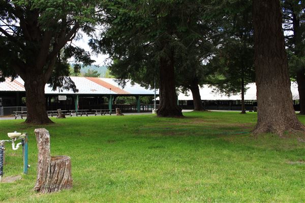 Mendocino County Fair and Apple Show - Grove area (5/31/2018 - Credits: Kellen Lim)