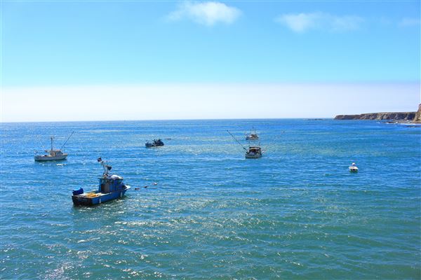 Point Arena Fishing Pier - Arena Cove Historic District (8/1/2018 - Credits: Kellen Lim)