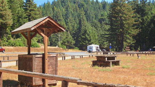 Jackson Demonstration State Forest Camp 20 Recreation Area (9/3/2018 - Credits: Kellen Lim)