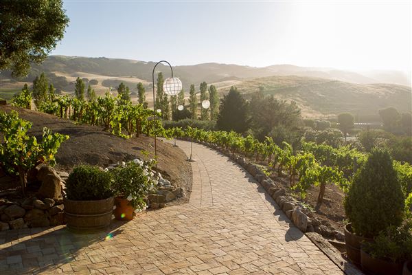 Viansa Sonoma Winery (2/26/2019 - Credits: Norah Burrows Photography)