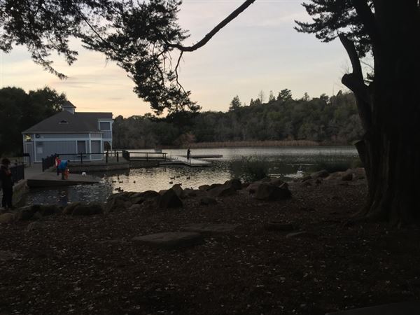 Howarth Park (4/3/2019)