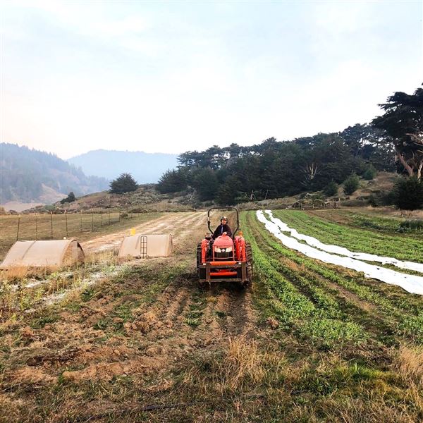 Wavelength Farm - Actual date taken unknown. (4/2/2019 - Credits: Renee Bertrand)