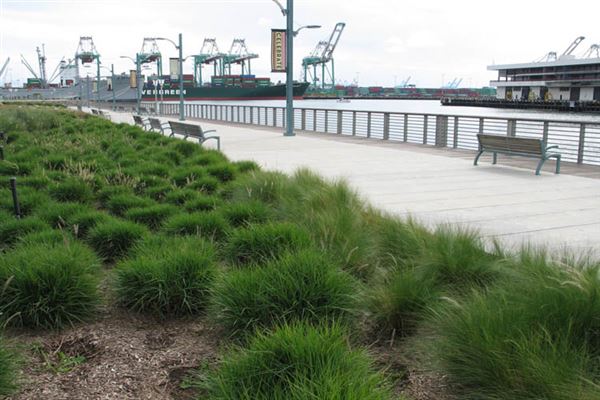 Port of Los Angeles - POLA / West Harbor / AltaSea Research Campus / Wilmington Waterfront Promenade (6/1/2019 - Credits: LocoScout)
