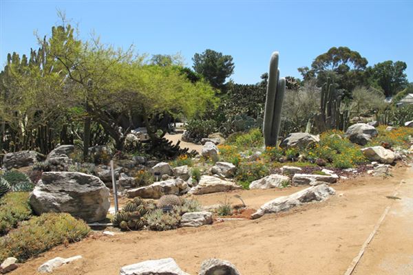 South Coast Botanic Garden (6/1/2019 - Credits: LocoScout)