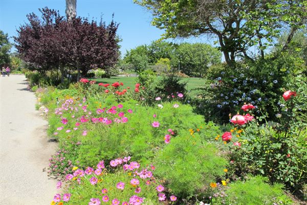 South Coast Botanic Garden (6/1/2019 - Credits: LocoScout)