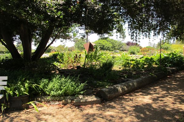 South Coast Botanic Garden (6/1/2019 - Credits: LocoScout)