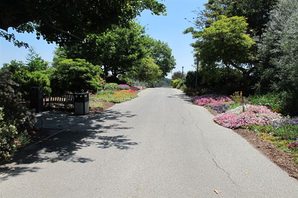 South Coast Botanic Garden (6/1/2019 - Credits: LocoScout)