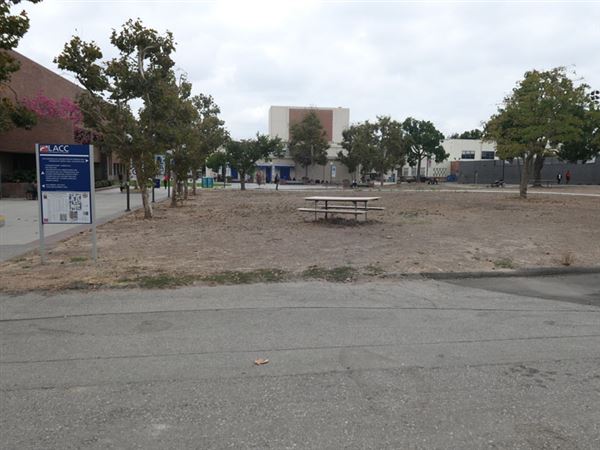 Los Angeles City College - LACC (12/10/2019 - Credits: LocoScout)