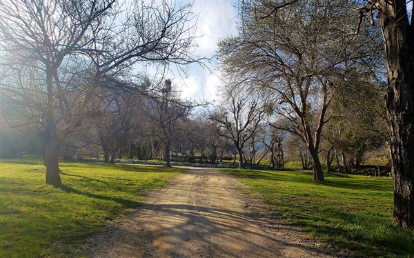 Hidden Acres (1/1/2020 - Credits: Steve McAllister)