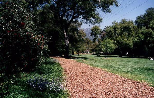 Descanso Gardens (12/31/2003)