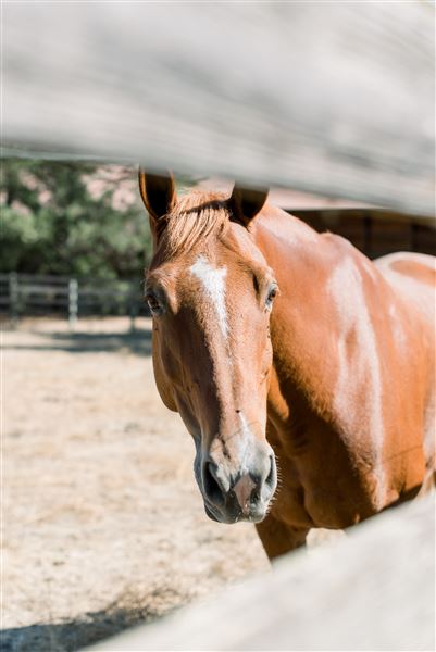 Alpine Ranch (10/20/2019 - Credits: Caitlin O Reilly / Marcel)