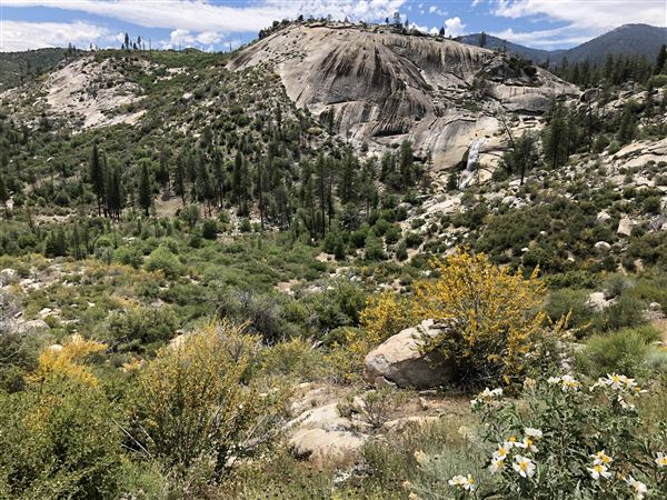 Peppermint Falls Ranch - Little Yosemite Valley - Peppermint Falls Ranch Waterfall (5/31/2020)