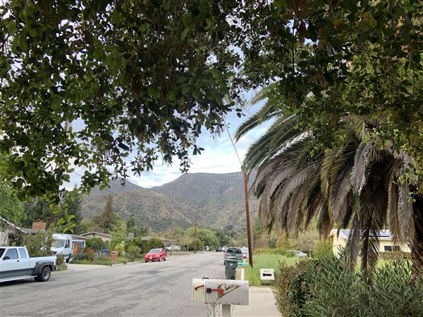 Tropical San Pedro @ Point Fermin Lands End - Unobstructed Panoramic Pacific Ocean Views of Catalina Island (9/19/2020 - Credits: None, I took this photo myself of my own property)