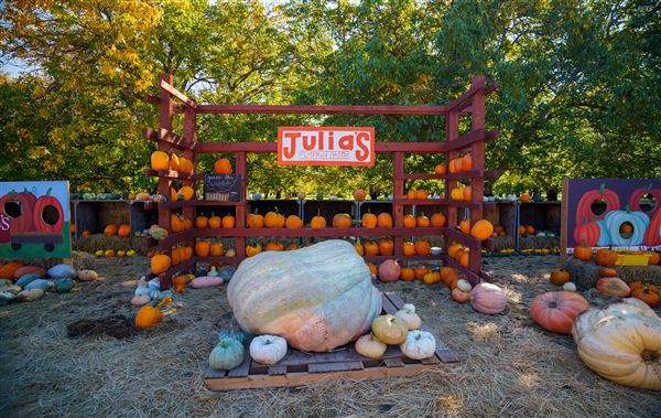Julia's Fruit Stand (3/1/2022 - Credits: Film Tehama)