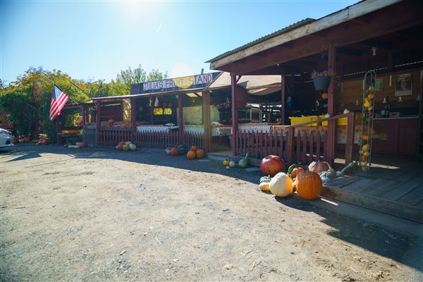 Julia's Fruit Stand (3/1/2022 - Credits: Film Tehama)