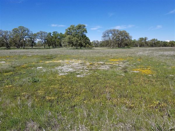 Payne's Creek Wetlands (3/1/2022 - Credits: Film Tehama)