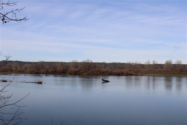 Sacramento River Bend (3/1/2022 - Credits: Film Tehama)