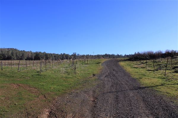 Meadowbrook Ranch (3/1/2022 - Credits: Film Tehama)