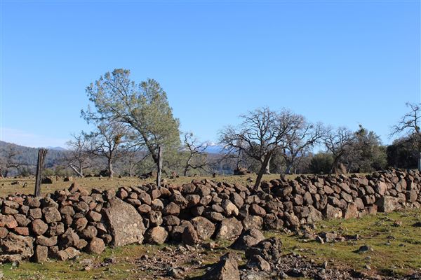 Meadowbrook Ranch (3/1/2022 - Credits: Film Tehama)
