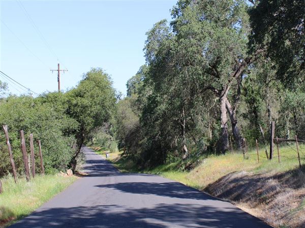 Sicard Flat (4/11/2022)