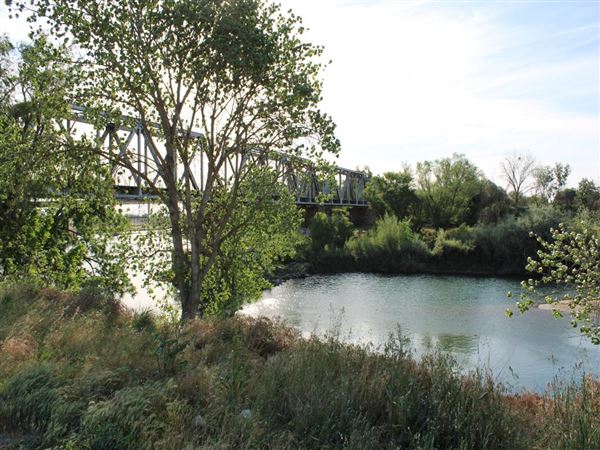 Train Bridge (4/11/2022)