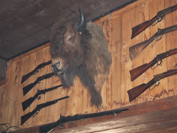 Silver Dollar Saloon (4/11/2022 - Credits: Yuba Sutter Film Commission)