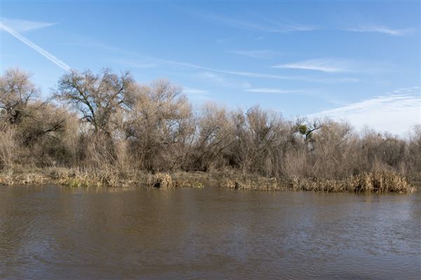 Great Valley Grasslands State Park (SP) (1/13/2016 - Credits: Brian Baer)