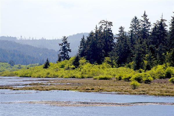 Harry A. Merlo State Recreation Area (SRA) (4/16/2014 - Credits: Brian Baer)