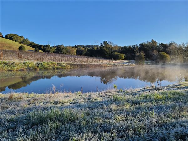Santa Cruz Mountains/Santa Clara Valley Vineyard/Victorian Location - Gilroy, CA (7/29/2022 - Credits: Jason Goelz)