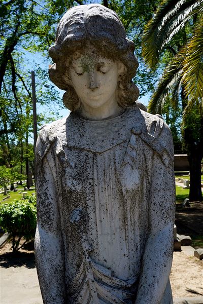 Sacramento Historic City Cemetary (4/28/2020)