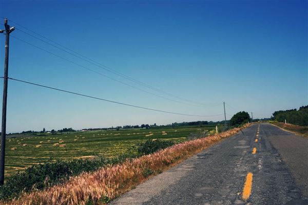 Various Rural Farms And Ranches (8/9/2022)