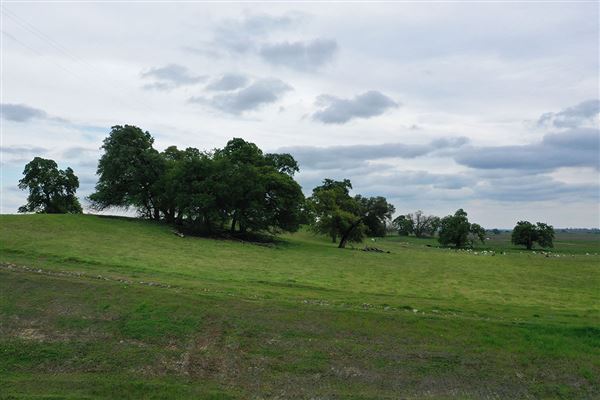 Various Rural Farms And Ranches (8/9/2022)
