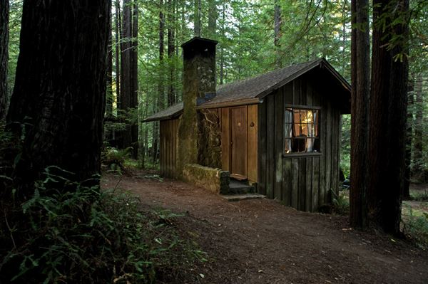 Mendocino Woodlands State Park (SP) (8/6/2012 - Credits: Brian Baer)