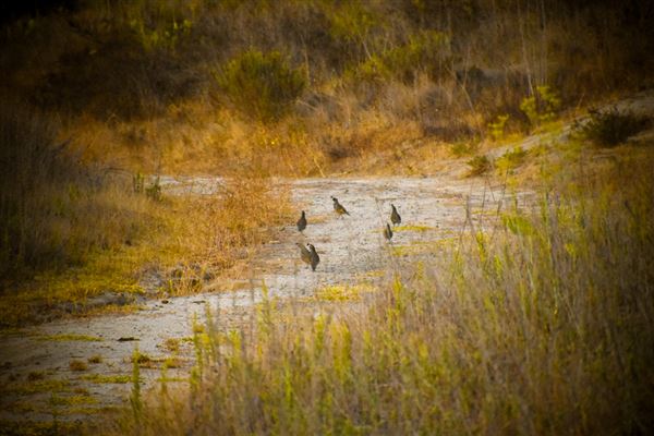 Red Skelton ranch (12/21/2021 - Credits: Bogdana Whitaker)