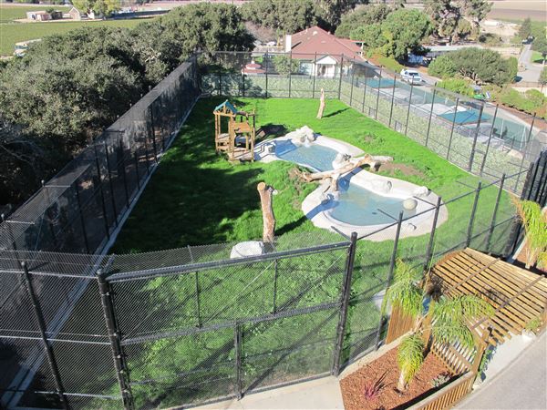 Vision Quest Ranch - Monterey Zoological Society (11/7/2022 - Credits: Charlie Sammut)