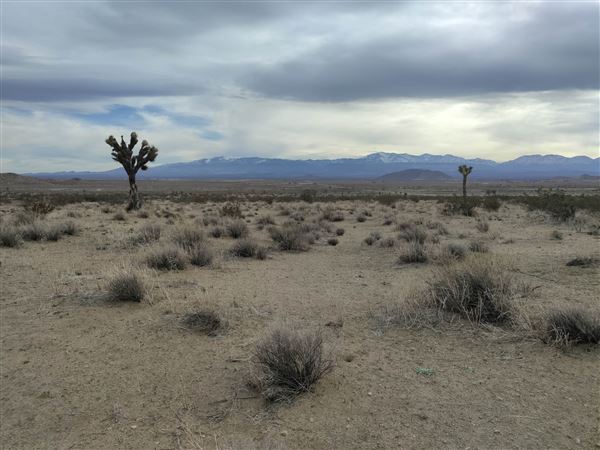 Slice of Nowhere (1/8/2023 - Credits: Fletcher Kade)