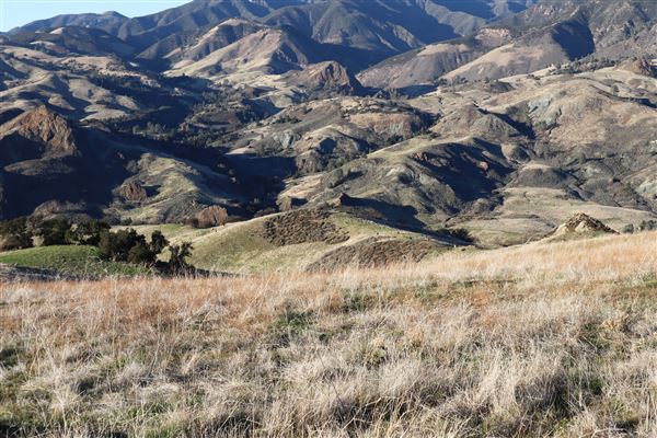 Rancho San Fernando Rey (4/19/2022 - Credits: Andrea)