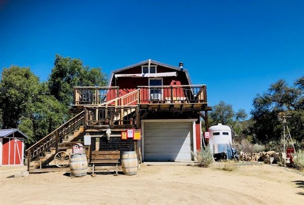 Red Thorne Ranch / The Barn Loft / Mini Petting Zoo (3/23/2023 - Credits: Amber Thorne)