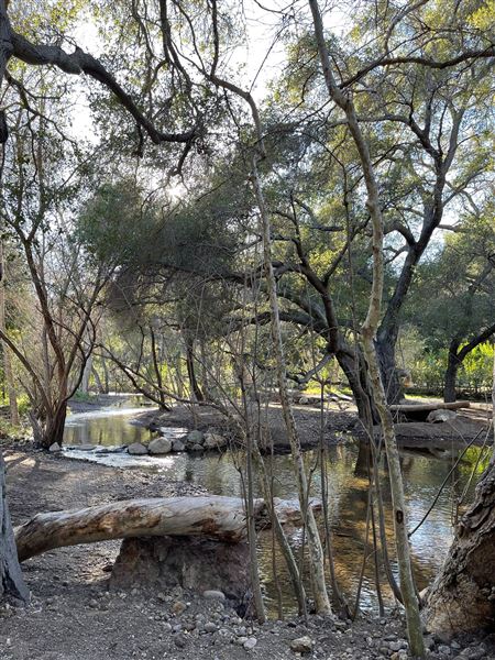Canyon Ranch (4/3/2023 - Credits: Provided by Julie Hoffman)