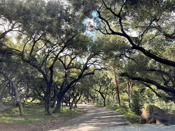 Canyon Ranch (4/3/2023 - Credits: Provided by Julie Hoffman)