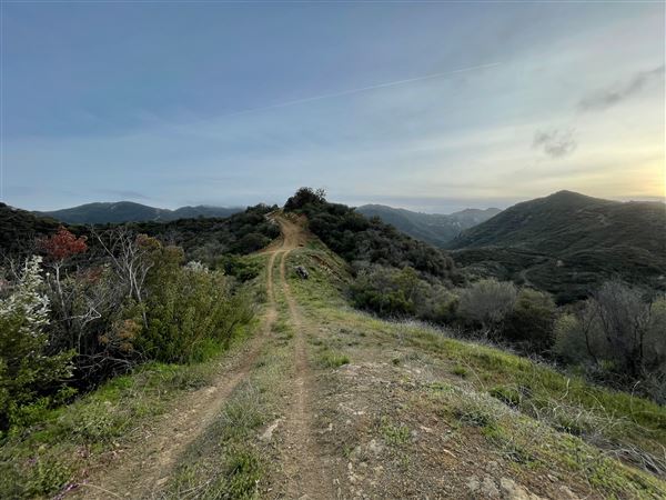 Canyon Ranch (4/3/2023 - Credits: Provided by Julie Hoffman)