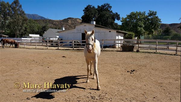 Khyra Beaucrest Ranch (6/22/2023 - Credits: Marc Hlavaty)