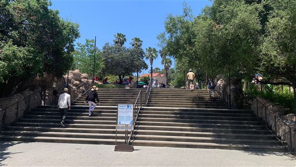 Los Angeles Zoo & Botanical Gardens - LA Zoo (6/25/2023 - Credits: Brandy Davis)