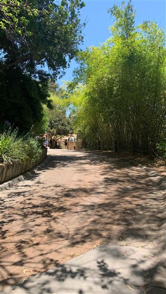 Los Angeles Zoo & Botanical Gardens - LA Zoo (6/25/2023 - Credits: Brandy Davis)