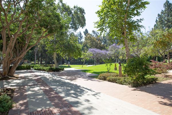 University of California, Los Angeles - UCLA (8/4/2023 - Credits: University of California, Los Angeles -UCLA)
