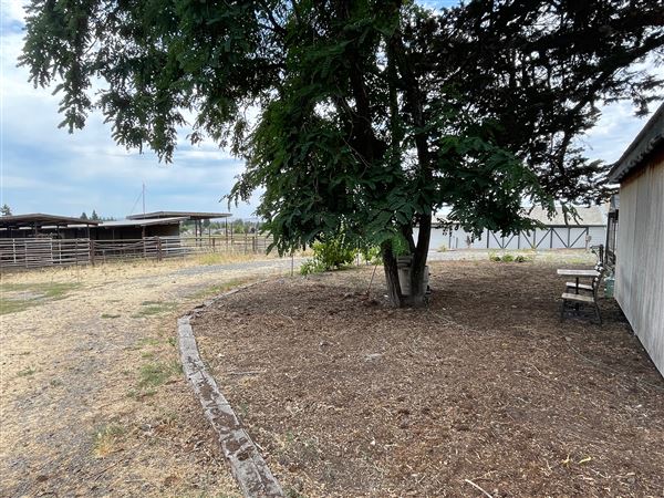 Petaluma Hill Farm (4/26/2023 - Credits: Heidi Umber)