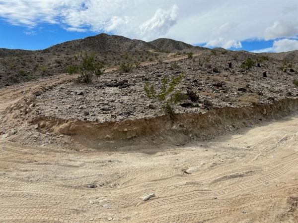 Borrego Spring Mountain Ranch (8/15/2023 - Credits: Caleb Sevian)