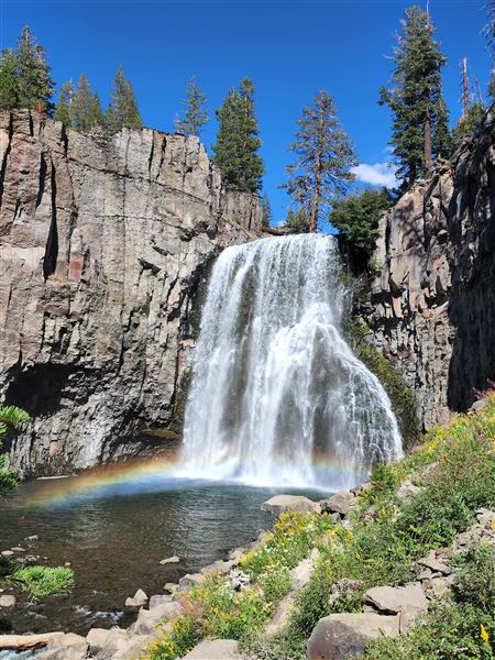 Cinnamon Bear Inn - Mammoth Lakes (8/13/2022 - Credits: Cinnamon Bear Inn)