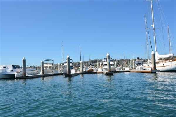 Cabrillo Marina (11/3/2023 - Credits: submitted by: Henry Rivas)